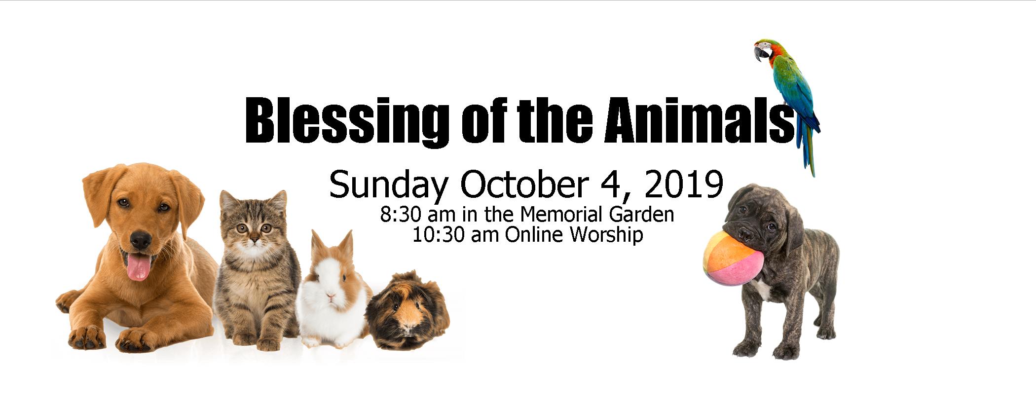 St. Francis Blessing of the Animals St. James