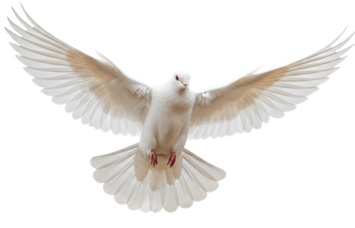 Lent Week 1 Devotional