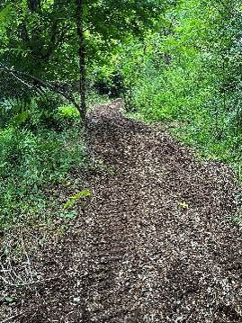 Lent Week 3 Devotional